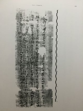 Urkunden zur Chronologie der späten 12. Dynastie: Briefe aus Illahun[newline]M3579c-02.jpg