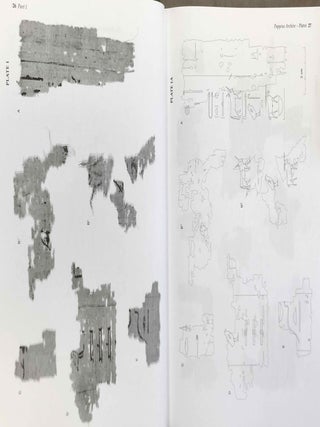 Abusir X: The pyramid complex of Raneferef. The papyrus archive.[newline]M3580c-13.jpeg