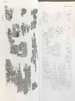 Abusir X: The pyramid complex of Raneferef. The papyrus archive.[newline]M3580c-14.jpeg