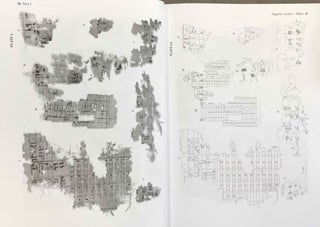Abusir X: The pyramid complex of Raneferef. The papyrus archive.