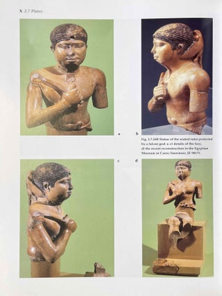 Abusir IX: The pyramid complex of Raneferef. The archaeology.[newline]M3604f-12.jpeg