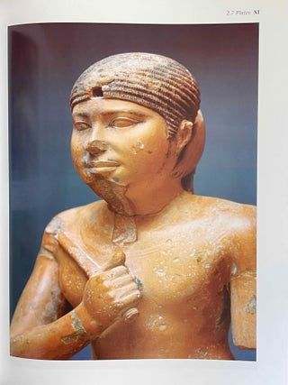 Abusir IX: The pyramid complex of Raneferef. The archaeology.[newline]M3604f-13.jpeg