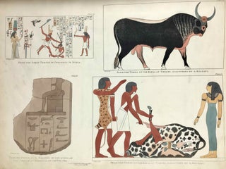 Plates illustrative of the researches and operations of G. Belzoni in Egypt and Nubia[newline]M3609b-15.jpeg