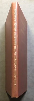 Literary fragments in the hieratic script