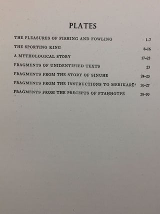 Literary fragments in the hieratic script