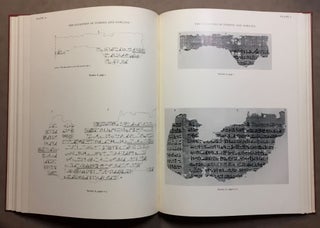 Literary fragments in the hieratic script