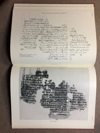Literary fragments in the hieratic script