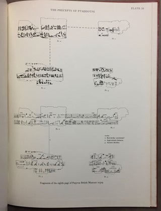 Literary fragments in the hieratic script