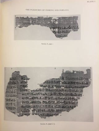 Literary fragments in the hieratic script[newline]M3622d-12.jpg