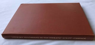 Literary fragments in the hieratic script