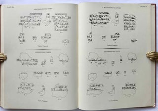 Literary fragments in the hieratic script