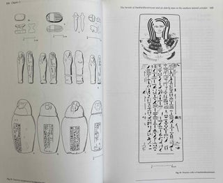 Abusir XVII: The shaft tomb of Iufaa. Vol I: Archaeology[newline]M3663-07.jpeg