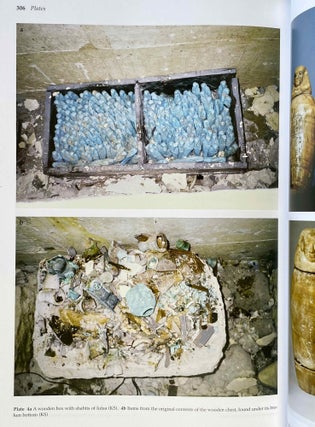 Abusir XVII: The shaft tomb of Iufaa. Vol I: Archaeology[newline]M3663-09.jpeg