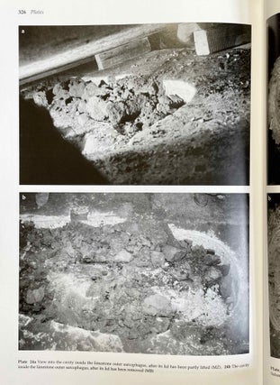 Abusir XVII: The shaft tomb of Iufaa. Vol I: Archaeology[newline]M3663-12.jpeg