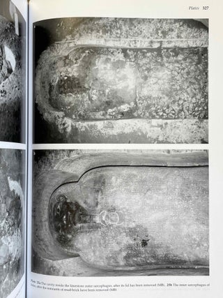 Abusir XVII: The shaft tomb of Iufaa. Vol I: Archaeology[newline]M3663-13.jpeg