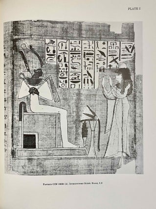 The Egyptian book of the dead documents in the Oriental Institute Museum at the University of Chicago. Ideas of the Ancient Egyptians Concerning the Hereafter As Expressed in Their Own Terms. SAOC 37[newline]M3686-08.jpeg