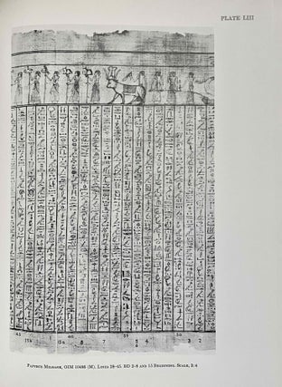 The Egyptian book of the dead documents in the Oriental Institute Museum at the University of Chicago. Ideas of the Ancient Egyptians Concerning the Hereafter As Expressed in Their Own Terms. SAOC 37[newline]M3686-10.jpeg