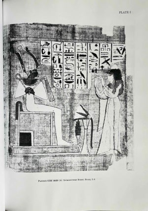 The Egyptian book of the dead documents in the Oriental Institute Museum at the University of Chicago. Ideas of the Ancient Egyptians Concerning the Hereafter As Expressed in Their Own Terms. SAOC 37[newline]M3686d-05.jpeg
