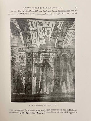 Rapports préliminaires sur les fouilles de Deir el-Medineh. Tome I to X (1922-1932). 10 volumes.[newline]M3729a-28.jpeg