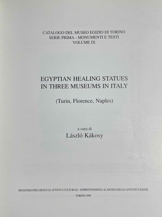 Egyptian healing statues in three museums in Italy[newline]M3738b-01.jpeg