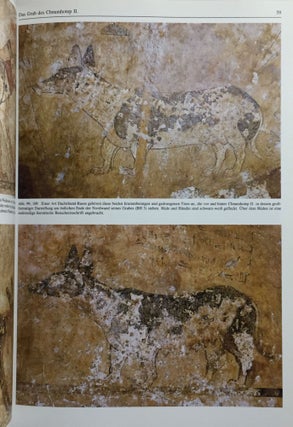 Die Felsgräber von Beni Hassan in Mittelägypten[newline]M3774a-06.jpg