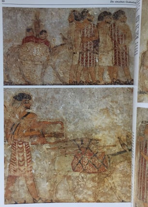 Die Felsgräber von Beni Hassan in Mittelägypten[newline]M3774a-07.jpg