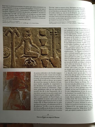 Vivre en Egypte au temps de Pharaon. Le message de la peinture égyptienne.[newline]M3814-04.jpg