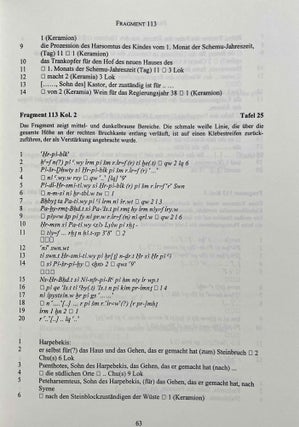 Aus der Buchhaltung des Weinmagazins im Edfu-Tempel. Der Demotische P. Carlsberg 409. 2 volumes (complete set) (The Carlsberg Papyri, vol. 9)