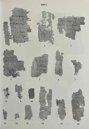 Aus der Buchhaltung des Weinmagazins im Edfu-Tempel. Der Demotische P. Carlsberg 409. 2 volumes (complete set) (The Carlsberg Papyri, vol. 9)[newline]M3819d-10.jpeg