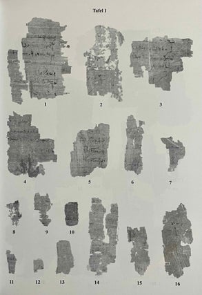 Aus der Buchhaltung des Weinmagazins im Edfu-Tempel. Der Demotische P. Carlsberg 409. 2 volumes (complete set) (The Carlsberg Papyri, vol. 9)
