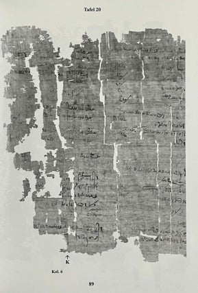 Aus der Buchhaltung des Weinmagazins im Edfu-Tempel. Der Demotische P. Carlsberg 409. 2 volumes (complete set) (The Carlsberg Papyri, vol. 9)[newline]M3819d-11.jpeg