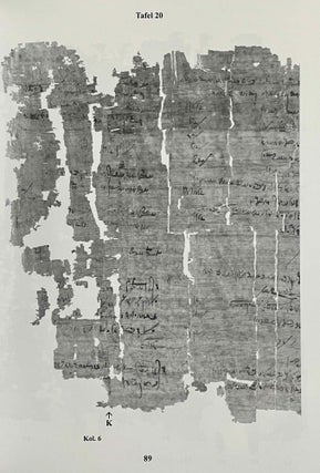 Aus der Buchhaltung des Weinmagazins im Edfu-Tempel. Der Demotische P. Carlsberg 409. 2 volumes (complete set) (The Carlsberg Papyri, vol. 9)