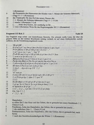 Aus der Buchhaltung des Weinmagazins im Edfu-Tempel. Der Demotische P. Carlsberg 409. 2 volumes (complete set) (The Carlsberg Papyri, vol. 9)
