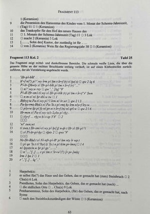 Aus der Buchhaltung des Weinmagazins im Edfu-Tempel. Der Demotische P. Carlsberg 409. 2 volumes (complete set) (The Carlsberg Papyri, vol. 9)