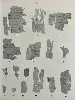 Aus der Buchhaltung des Weinmagazins im Edfu-Tempel. Der Demotische P. Carlsberg 409. 2 volumes (complete set) (The Carlsberg Papyri, vol. 9)