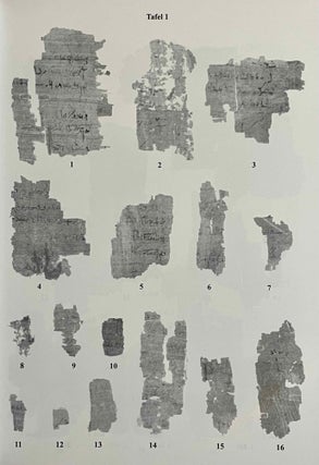 Aus der Buchhaltung des Weinmagazins im Edfu-Tempel. Der Demotische P. Carlsberg 409. 2 volumes (complete set) (The Carlsberg Papyri, vol. 9)
