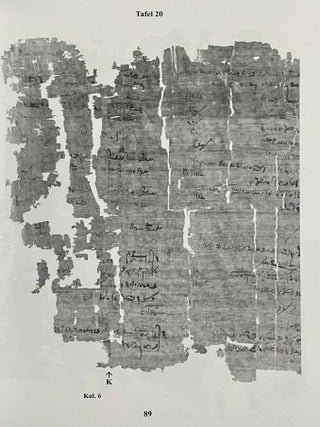 Aus der Buchhaltung des Weinmagazins im Edfu-Tempel. Der Demotische P. Carlsberg 409. 2 volumes (complete set) (The Carlsberg Papyri, vol. 9)