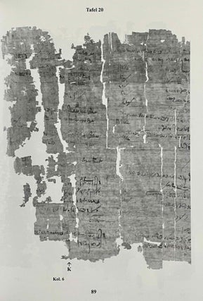 Aus der Buchhaltung des Weinmagazins im Edfu-Tempel. Der Demotische P. Carlsberg 409. 2 volumes (complete set) (The Carlsberg Papyri, vol. 9)