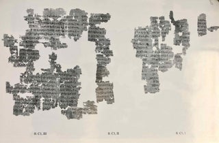 The Petese Stories II (The Carlsberg Papyri, vol. 6)[newline]M3821c-13.jpg