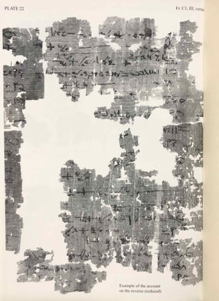 The Petese Stories II (The Carlsberg Papyri, vol. 6)[newline]M3821c-14.jpg