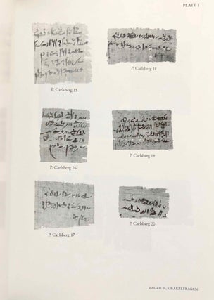 A Miscellany of Demotic Texts and Studies (The Carlsberg Papyri, vol. 3)[newline]M3827a-05.jpg
