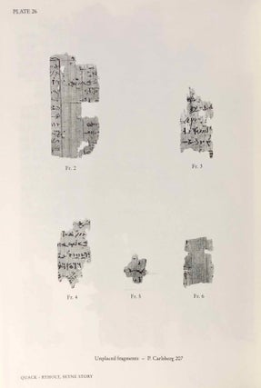 A Miscellany of Demotic Texts and Studies (The Carlsberg Papyri, vol. 3)[newline]M3827a-06.jpg