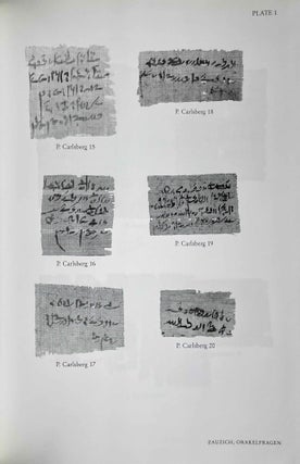 A Miscellany of Demotic Texts and Studies (The Carlsberg Papyri, vol. 3)[newline]M3827b-05.jpeg