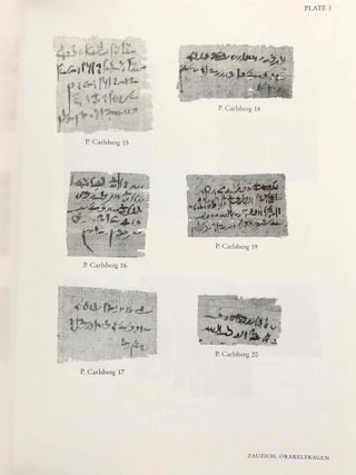 A Miscellany of Demotic Texts and Studies (The Carlsberg Papyri, vol. 3)