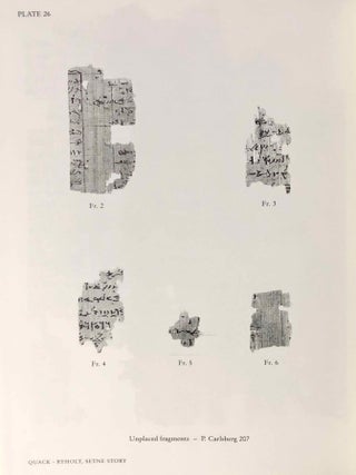 A Miscellany of Demotic Texts and Studies (The Carlsberg Papyri, vol. 3)