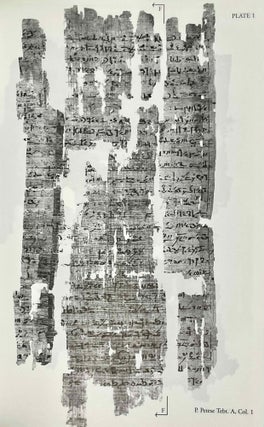 The story of Petese Son of Petetum and seventy other good and bad stories (The Carlsberg Papyri, vol. 4)[newline]M3828b-08.jpeg
