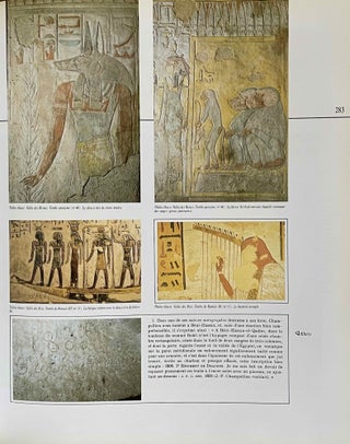 L'Egypte de Jean-François Champollion. Lettres et journaux de voyage (1828-1829).