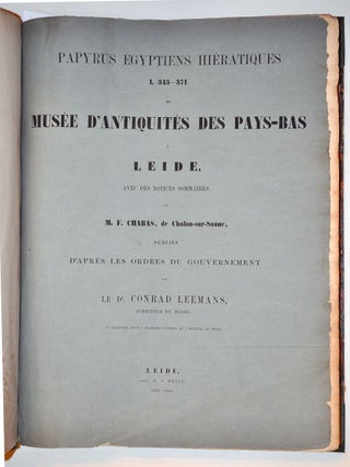 Papyrus &eacute;gyptiens hi&eacute;ratiques de Leide + papyrus &eacute;gyptiens d&eacute;motiques de Leide[newline]M3878-04.jpg