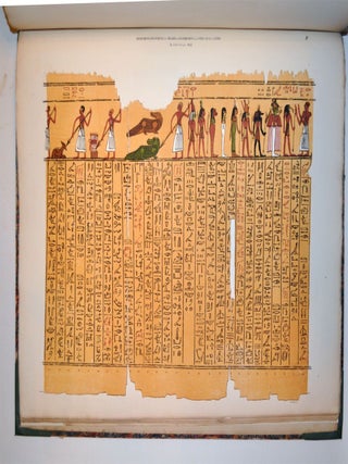 Papyrus &eacute;gyptiens hi&eacute;ratiques de Leide + papyrus &eacute;gyptiens d&eacute;motiques de Leide[newline]M3878-06.jpg