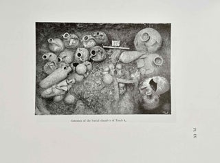 Excavations at Ballana 1958-1959